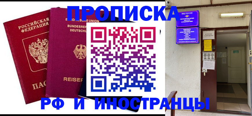 прописка для школы в Щёлково